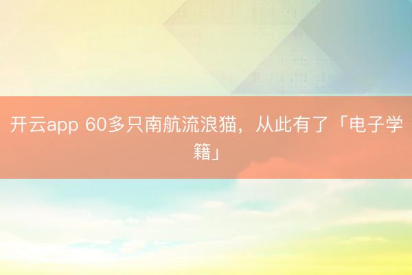 開云app 60多只南航流浪貓，從此有了「電子學(xué)籍」